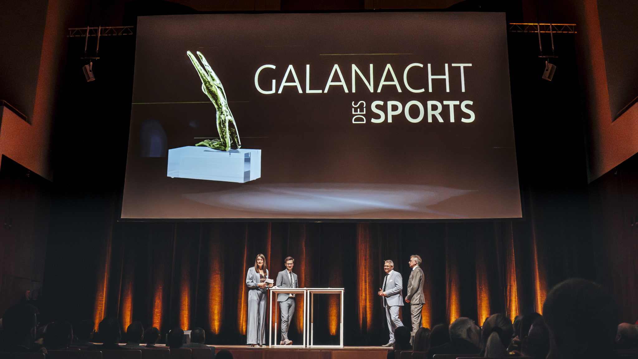 Image hover effect image